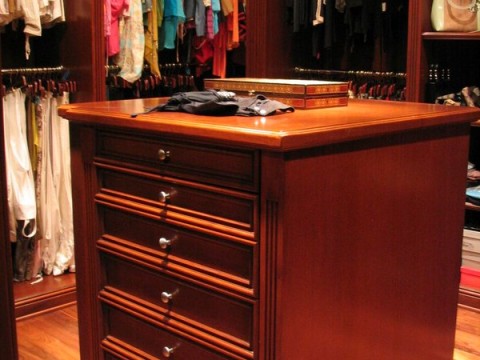 Traditional Wood Veneer Master Closet - Featured Image