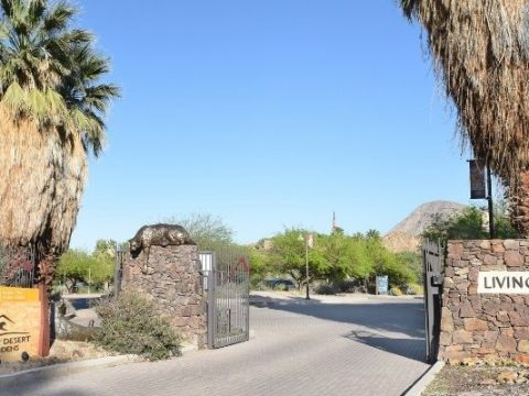 Reasons To Visit The Living Desert Zoo And Gardens iIn Palm Desert - Featured Image