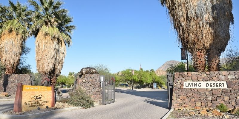 Reasons To Visit The Living Desert Zoo And Gardens iIn Palm Desert - Featured Image